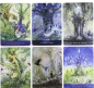 Preview: spirituelle Karten Preview: spirituelle Karten